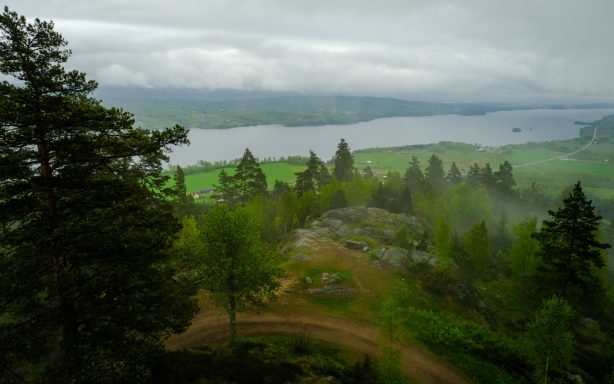 Utsikt över en dimmig dal med en flod och omgivande grönskande skog.